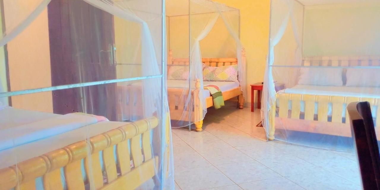 La Feve Beach Bed And Breakfast Entebbe エンテベ エクステリア 写真